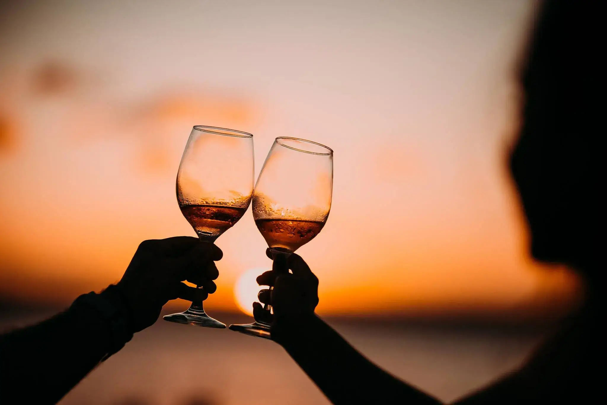 Il calendario di Calici di Stelle Calici di stelle entra nel vivo, agosto fitto di brindisi romantici